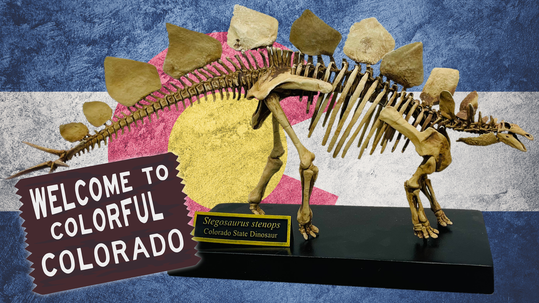 The Stegosaurus: A True Colorado Native
