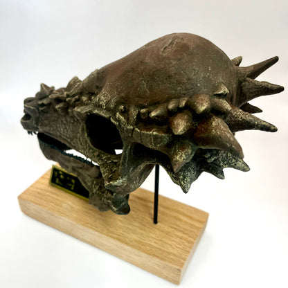 Pachycephalosaurus wyomingensis Scale Model Skull | Replica Fossil