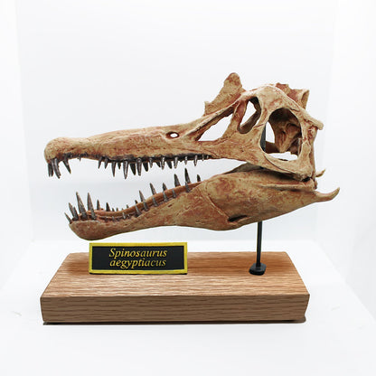Spinosaurus aegyptiacus Scale Skull Replica